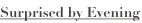 shapeimage_2_link_0